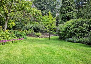 Optimiser l'expérience du jardin à Saint-Leger-Dubosq